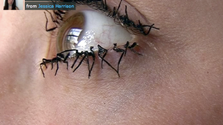 Gross New Mascara Makes Latisse Look Weak
